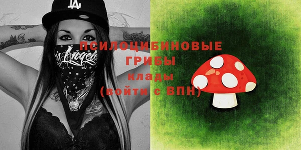 хмурый Алексеевка